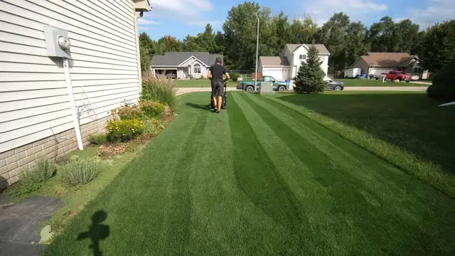 Why Should You Stripe Your Lawn