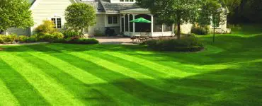 how to stripe lawn without roller