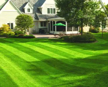how to stripe lawn without roller