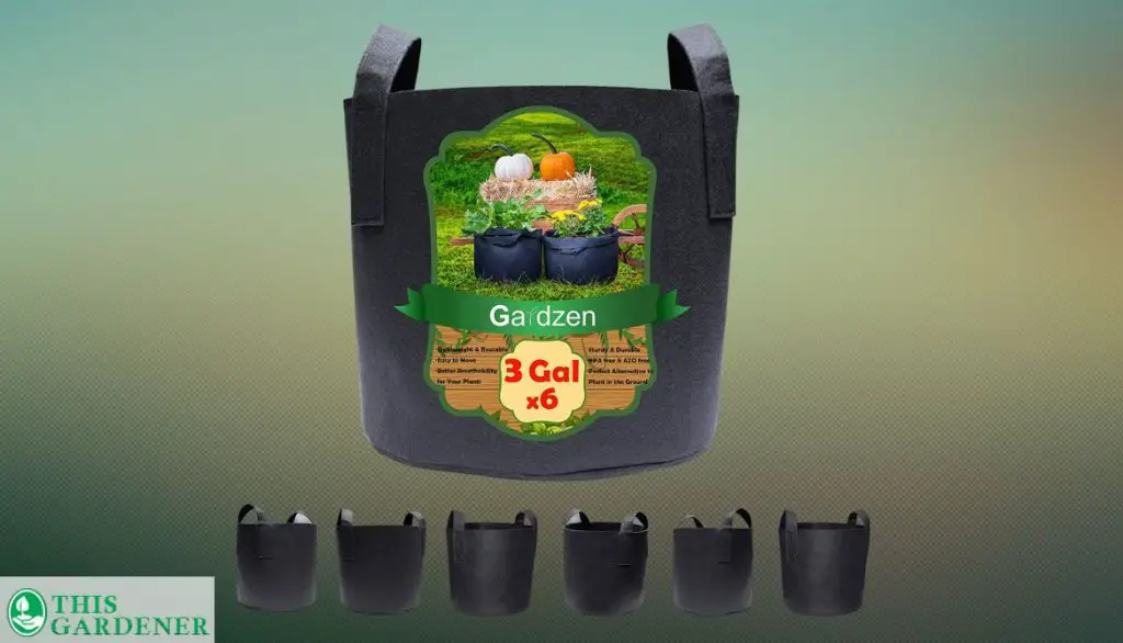 Best Grow Bags For Cucumbers Gardzen 3 Gallon