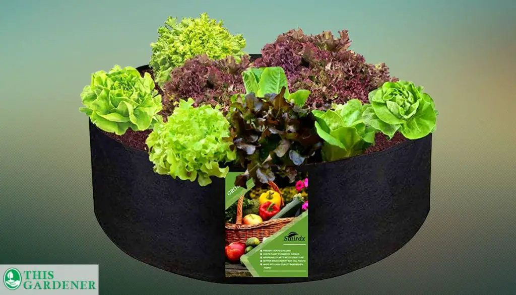 Best Grow Bags for Zucchini Smirdx Plant Grow Bag
