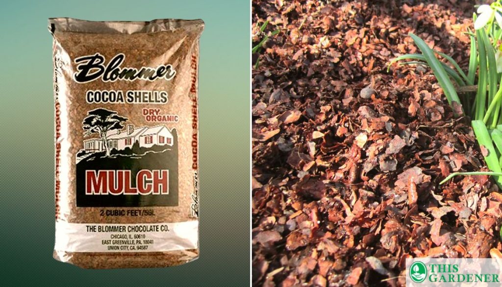 Best Mulch for Grow Bags Blommer Cocoa Shell Mulch