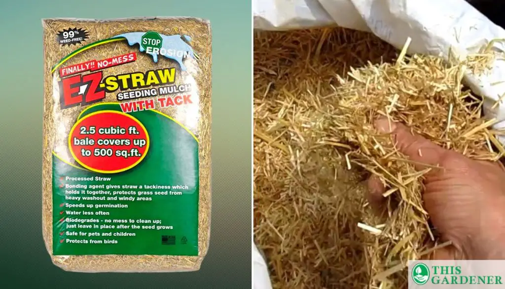 Best Mulch for Grow Bags EZ Straw Seeding Mulch
