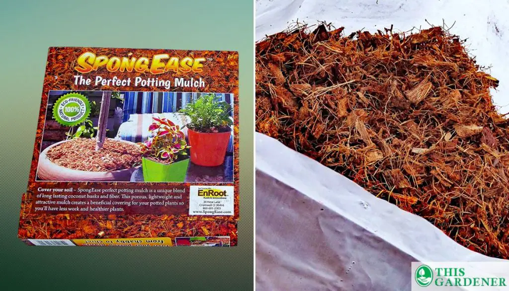 Best Mulch for Grow Bags EnRoot SPONGEEASE