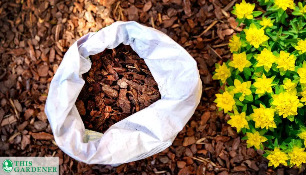 Best Mulch for Grow Bags Mulch Matters