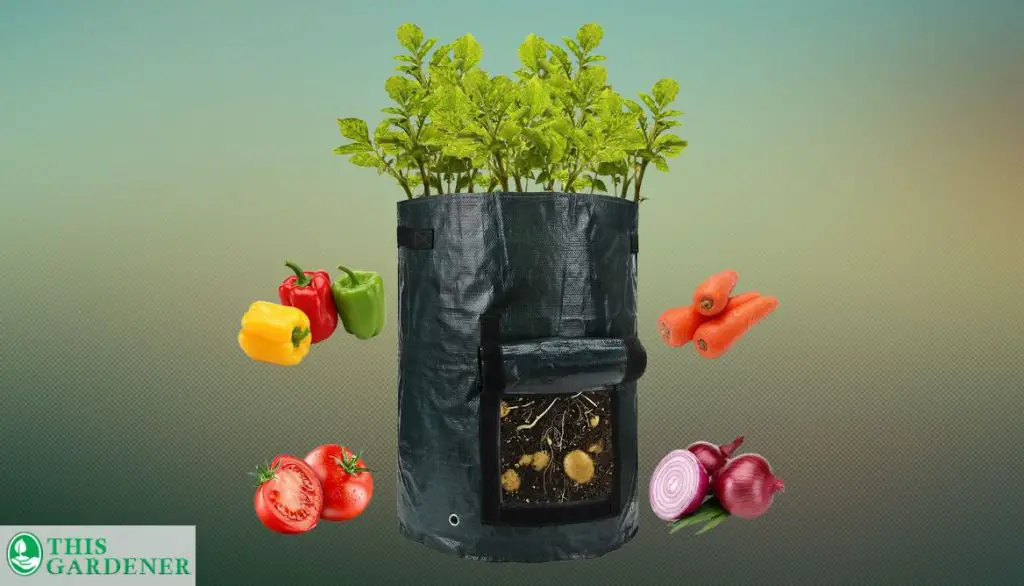 Best Organic Grow Bags Best Organic Grow Bags ANPHSIN 10 Gallon