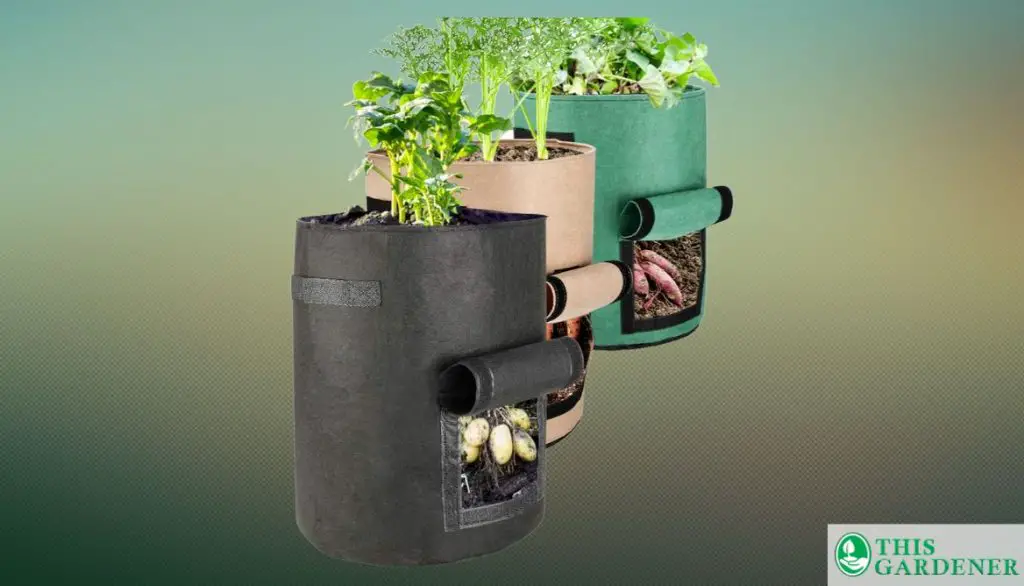 Best Organic Grow Bags Futone 10 Gallon