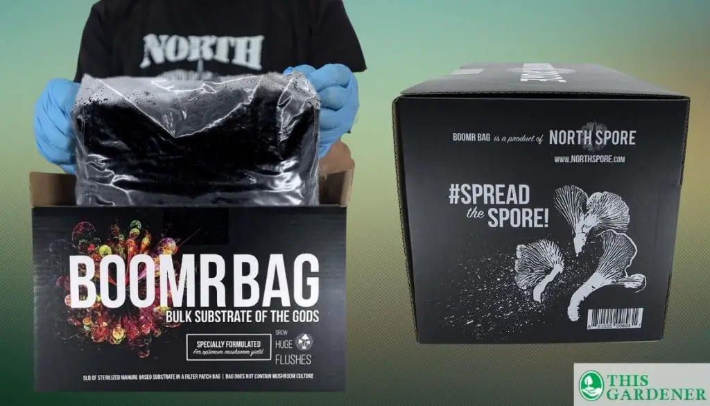 Boomr Bag 5lb - Manure-Based Bulk Substrate Blend