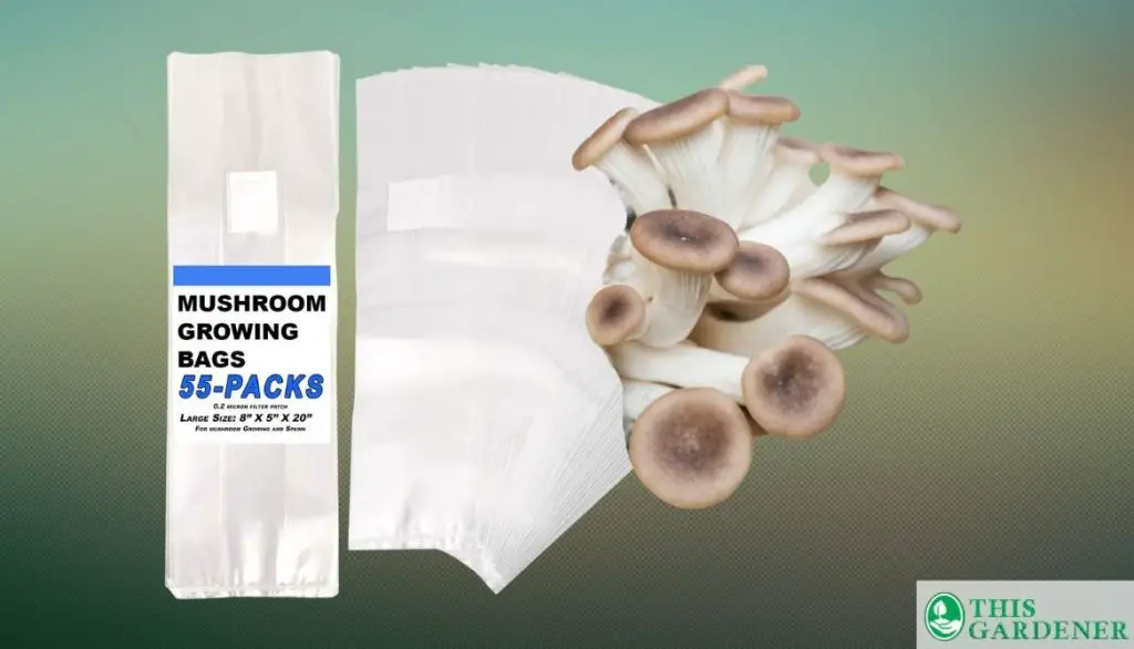 FITWICK Mushroom Growing Bags 55-Pack Sealable Spawn Bags