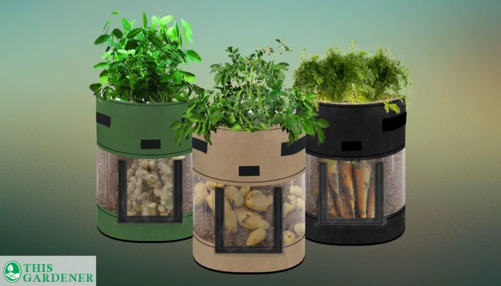 Grow bags with transparent plastic windows