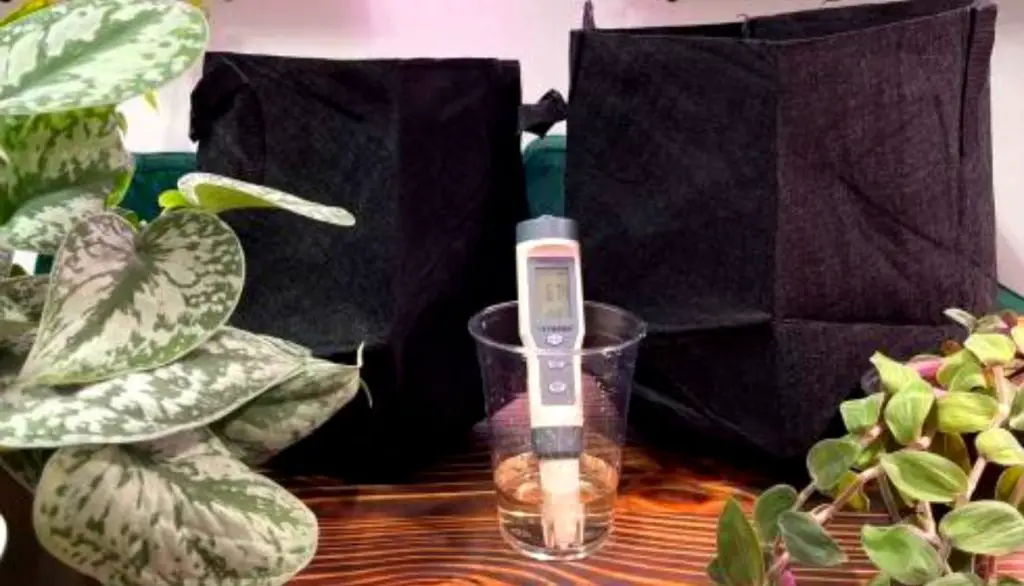 How To Clean Fabric Grow Bags