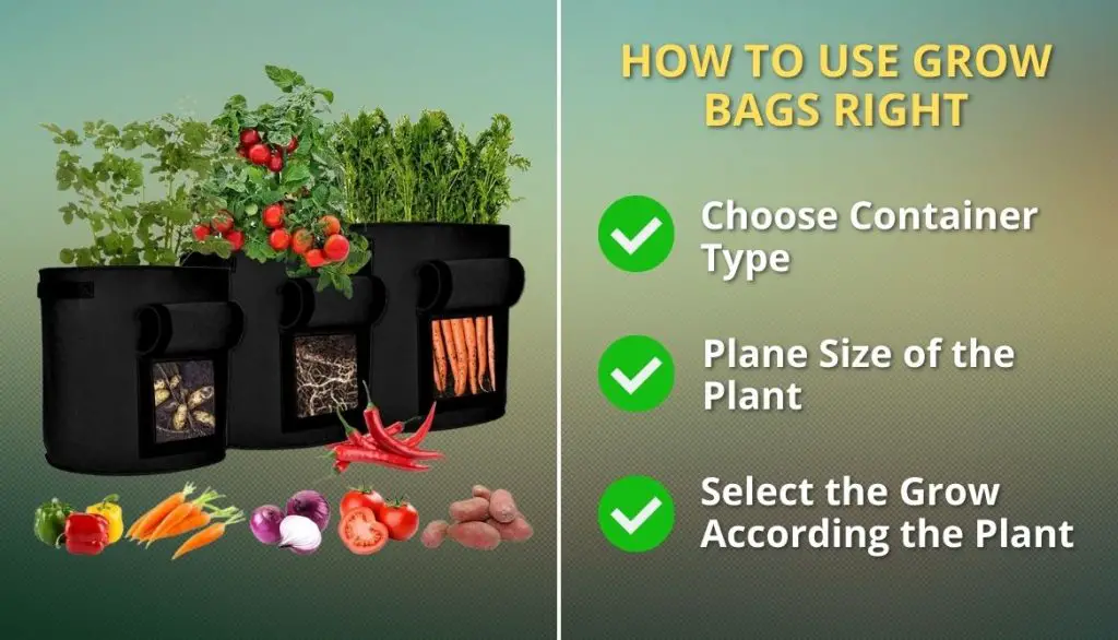 How To Use Grow Bags