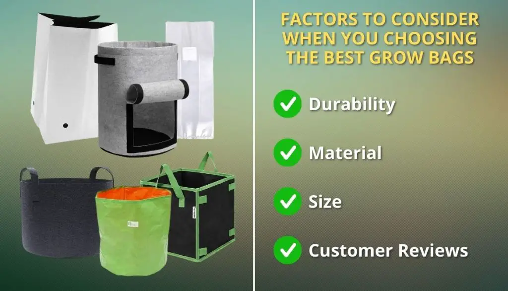 Factors To Consider When You Choosing The Best Grow Bags