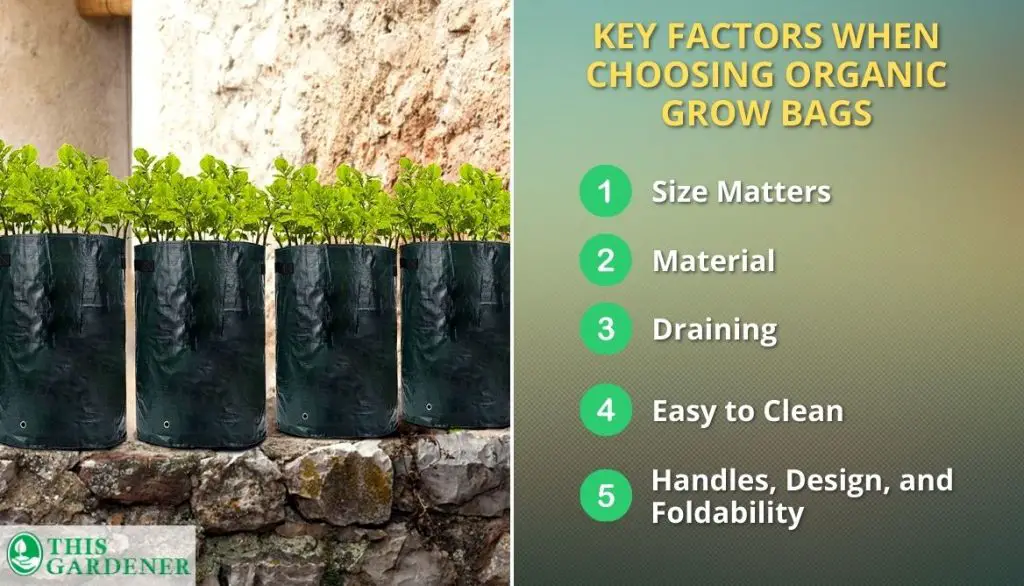 Key Features Of Organic Grow Bags
