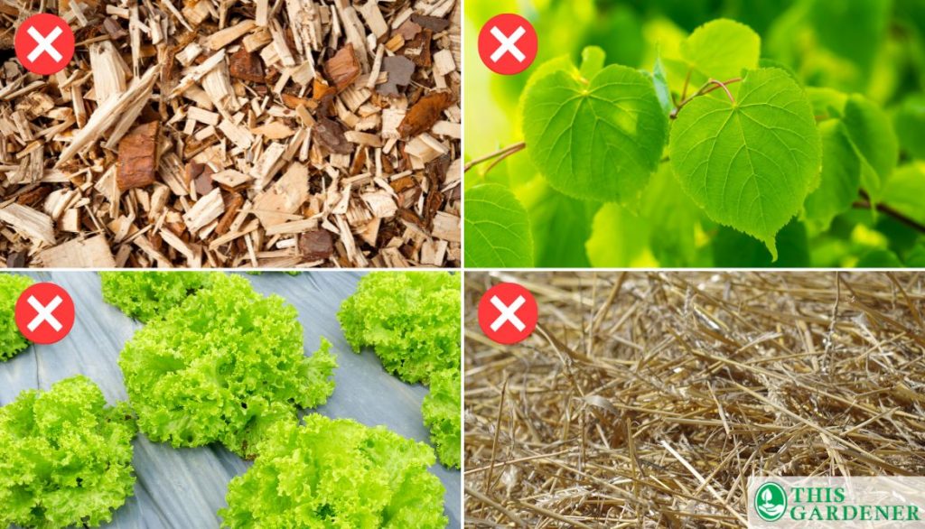 Mulches to Avoid in Vegetable Garden