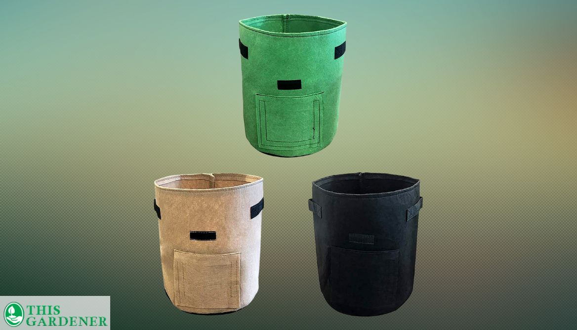 Best 10 Gallon Grow Bags Top4 Grow Bags With Verdict