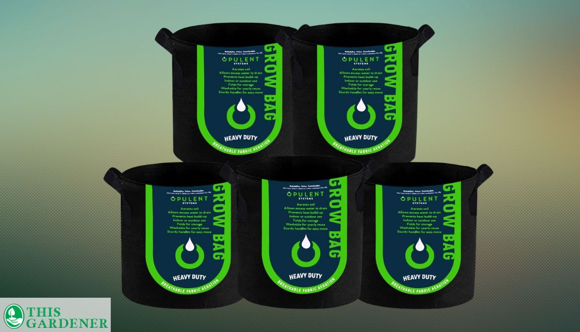 Best 10 Gallon Grow Bags Top4 Grow Bags With Verdict