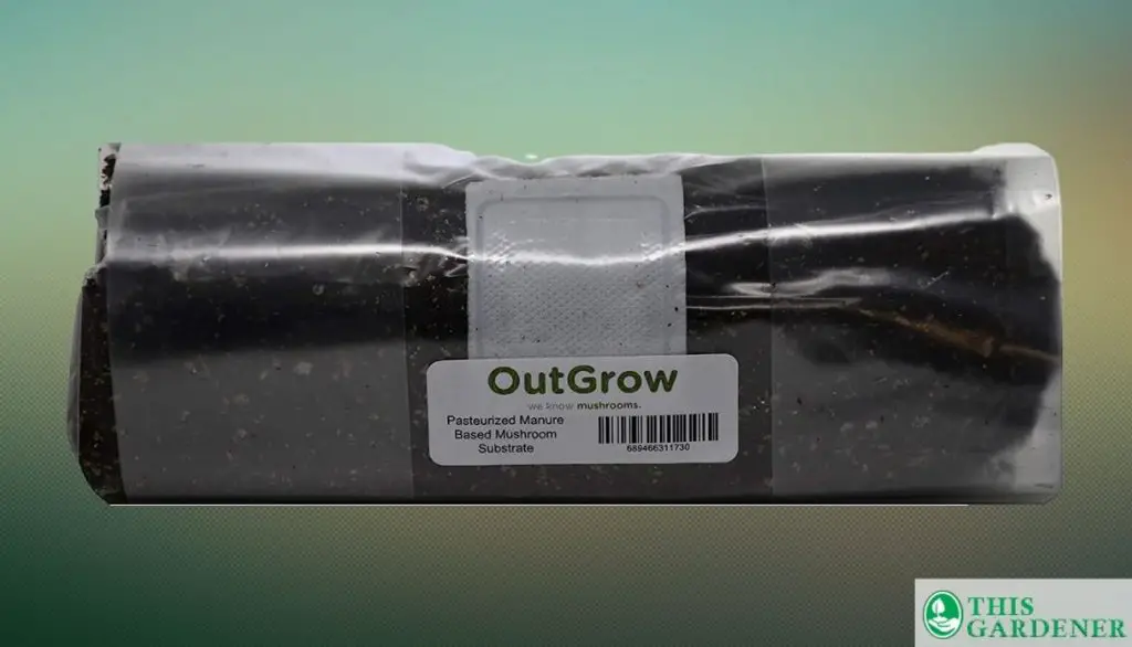Outgrow Manure-Based Mushroom Substrate in Mushroom Grow Bags