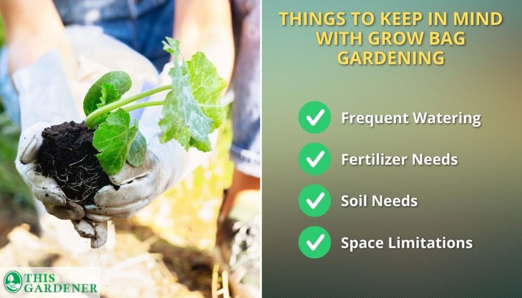 Things to Keep in Mind with Grow Bag Gardening