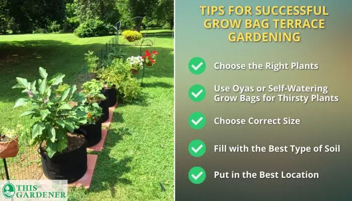 Best Grow Bags For Terrace Garden: 5 Success Tips Revealed!