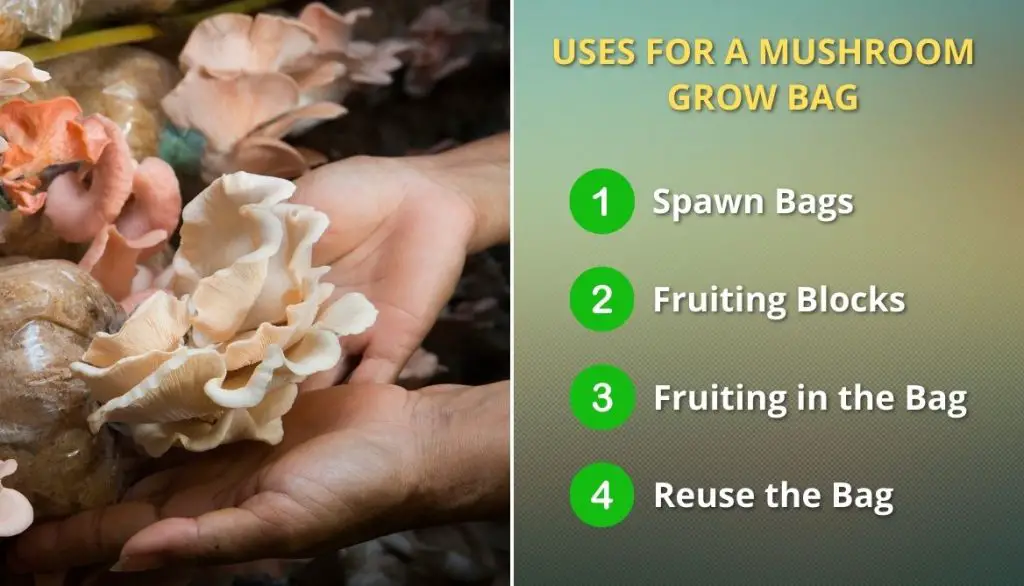 Uses for a Mushroom Grow Bag