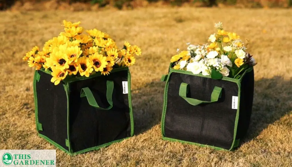 Verdict Vivosun 5-Pack 10-Gallon Square Grow Bags