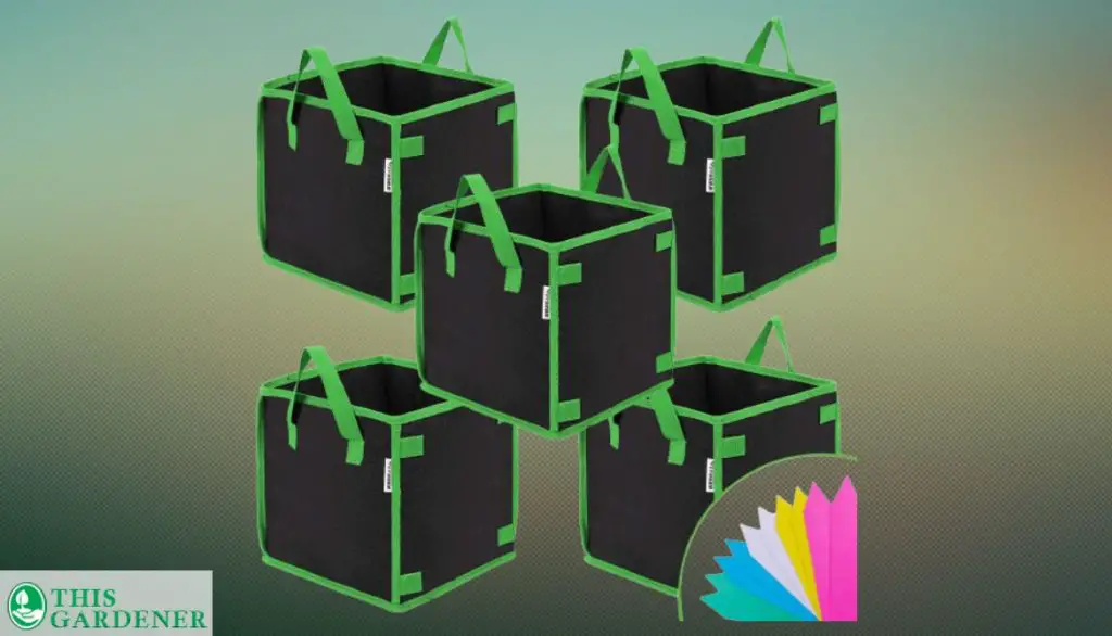 Best 10 Gallon Grow Bags Vivosun 5 Pack 10 Gallon Square