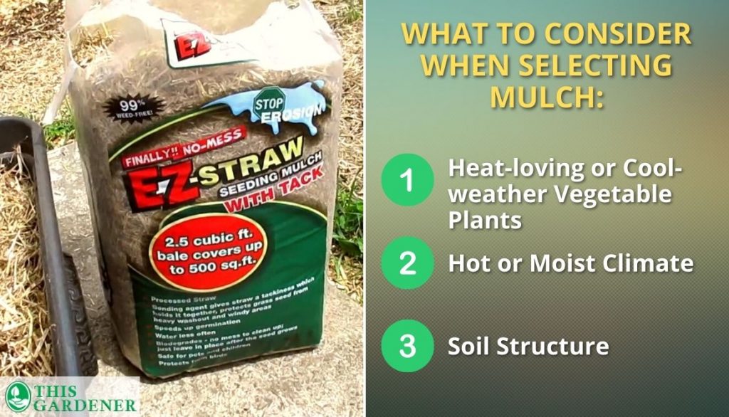 What To Consider When Selecting Mulch 1024x586 