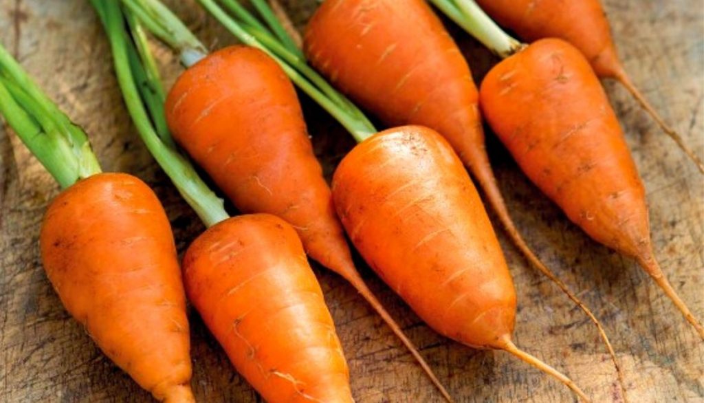 Best Grow Bags for Carrots Chantenay