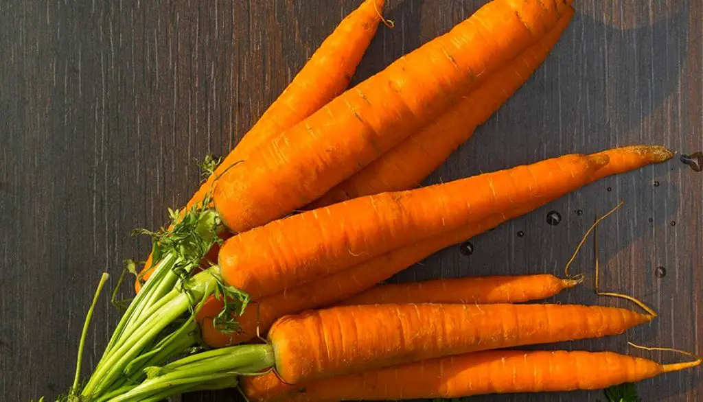 Best Grow Bags for Carrots Imperator