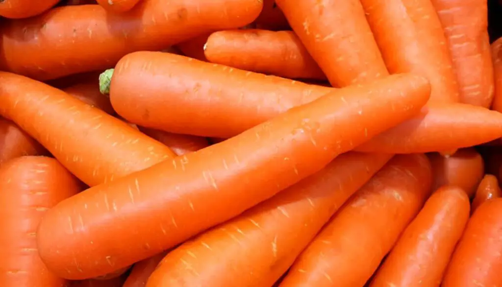 Best Grow Bags for Carrots Nantes