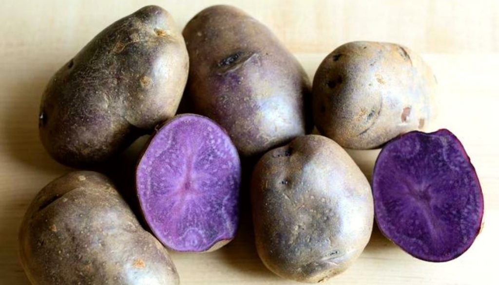 Best Potato Varieties for Grow Bags Adirondack Blue Potatoes