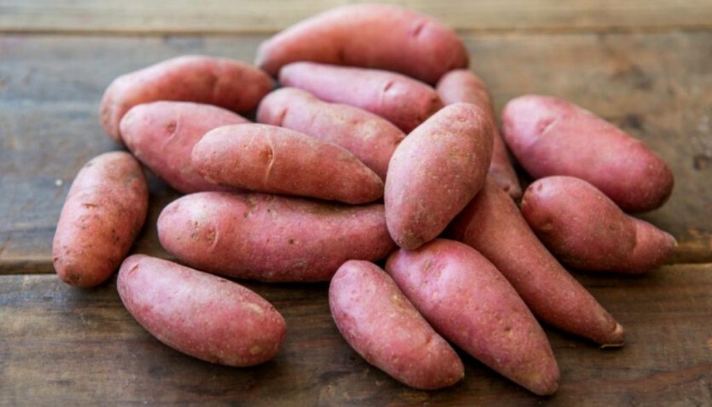 Best Potato Varieties for Grow Bags French Fingerling Potatoes