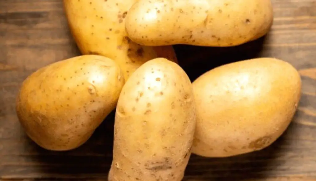 Best Potato Varieties for Grow Bags Kennebec Potatoes