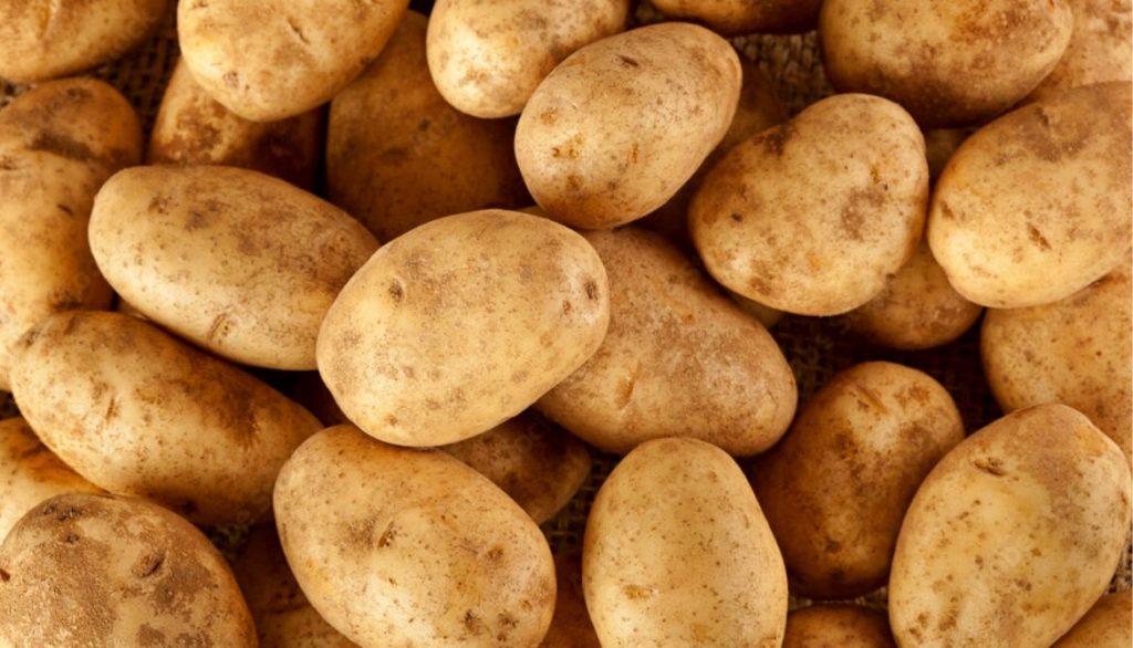 Best Potato Varieties for Grow Bags Russet Fresh Potatoes