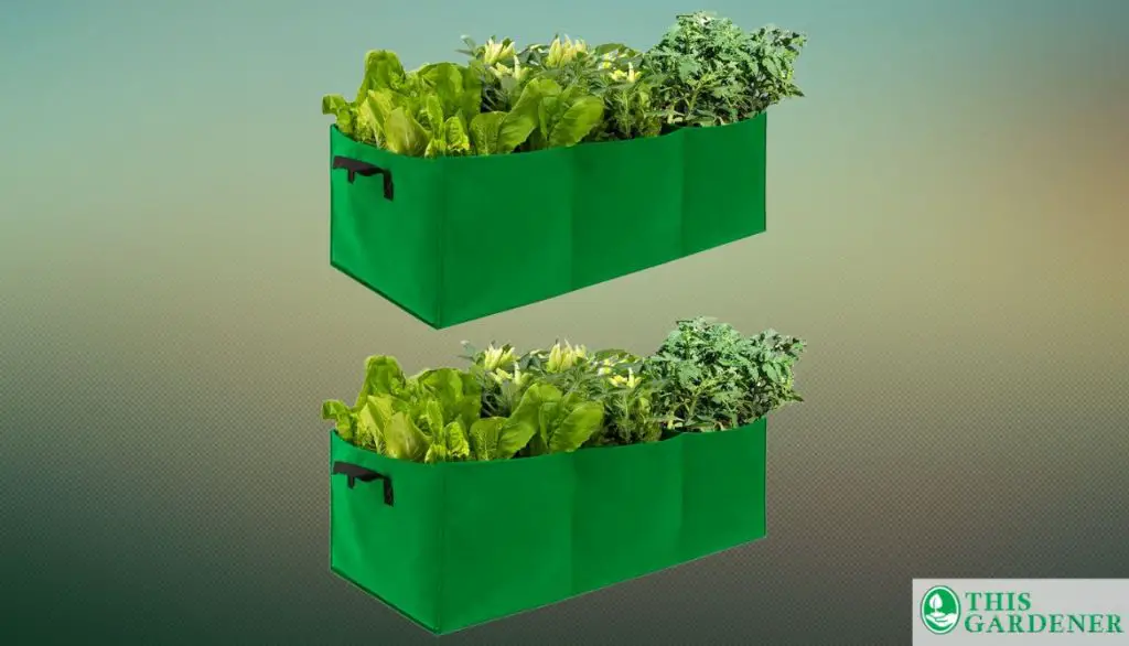 Best Rectangular Grow Bags Anphsin Non-Woven Garden Grow Bags