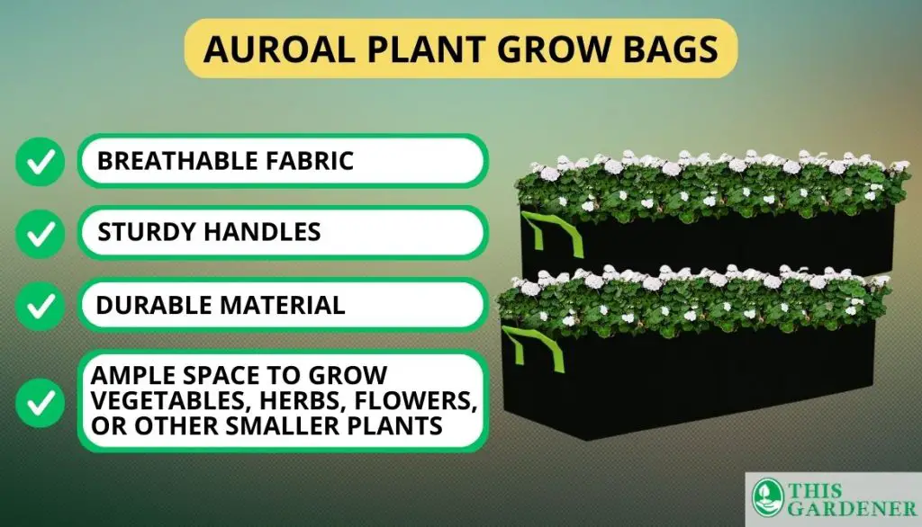 Best Rectangular Grow Bags Final Auroal