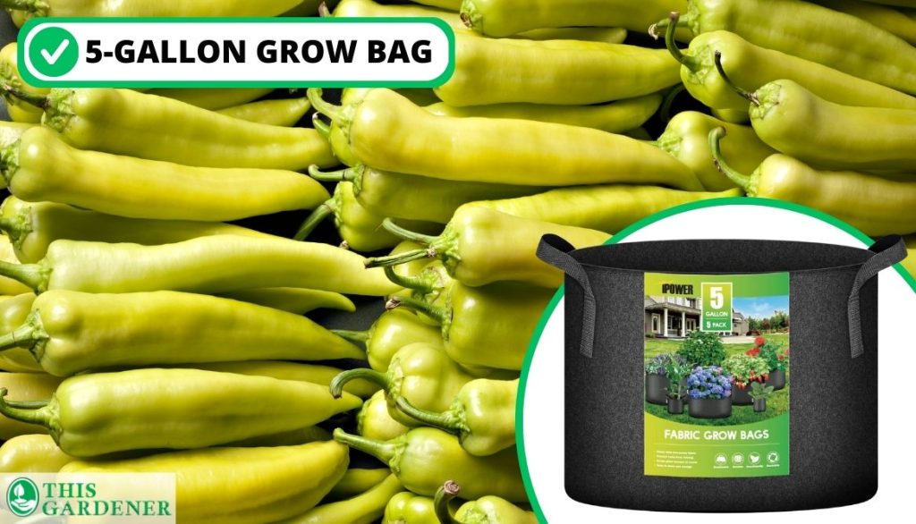 Best Size Grow Bags for Peppers Banana Peppers