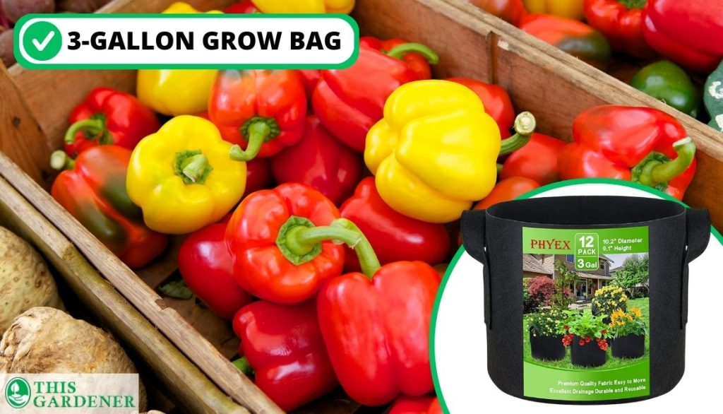 Best Size Grow Bags for Peppers Bell Peppers