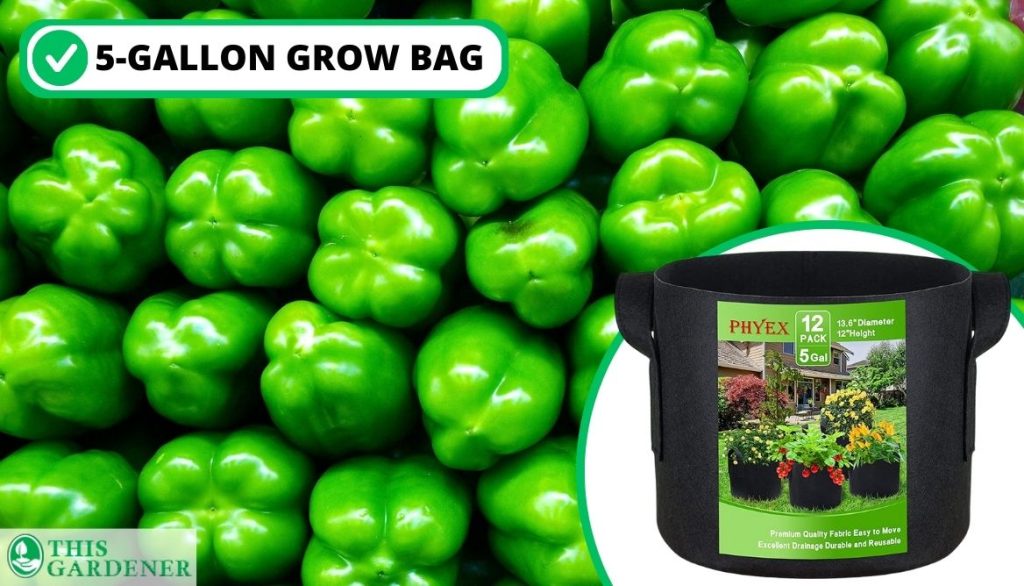 Best Size Grow Bags for Peppers Green Peppers