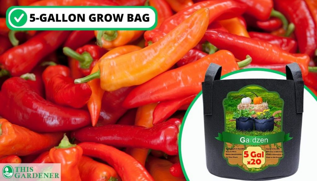 Best Size Grow Bags for Peppers Hot Peppers