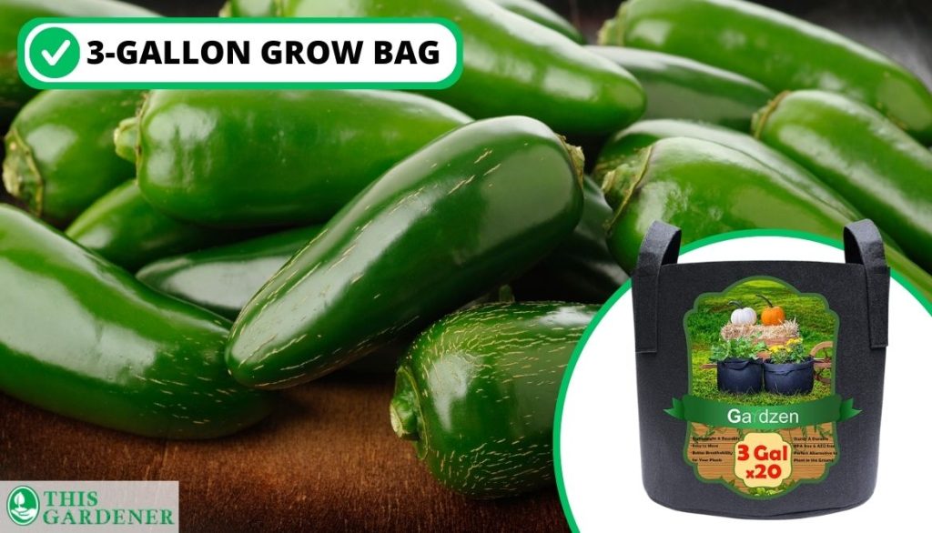 Best Size Grow Bags for Peppers Jalapeno Peppers