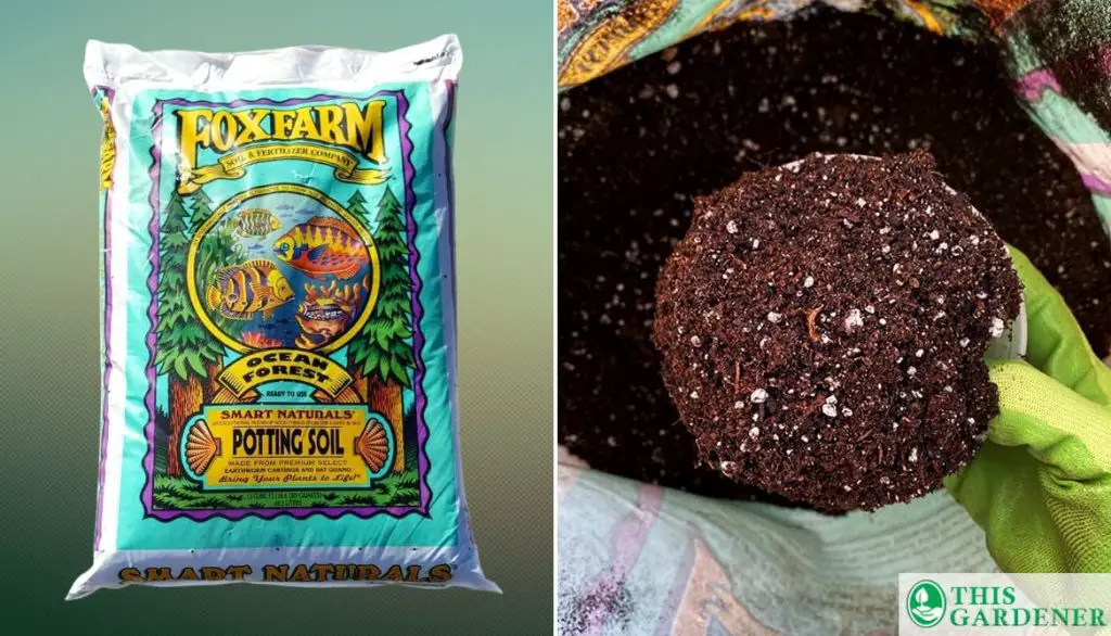 Best Soil for Tomatoes in Grow Bags FoxFarm Ocean Forest Organic Potting Soil FX14000