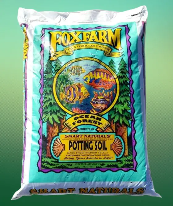 Best Soil for Tomatoes in Grow Bags FoxFarm