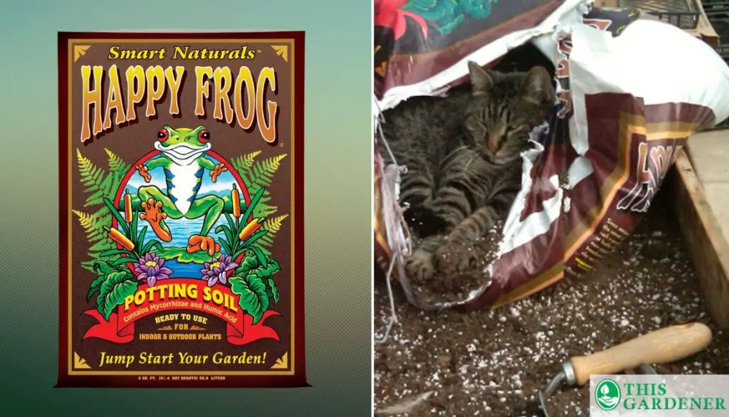 Best Soil for Tomatoes in Grow Bags Happy Frog Potting Soil by FoxFarm