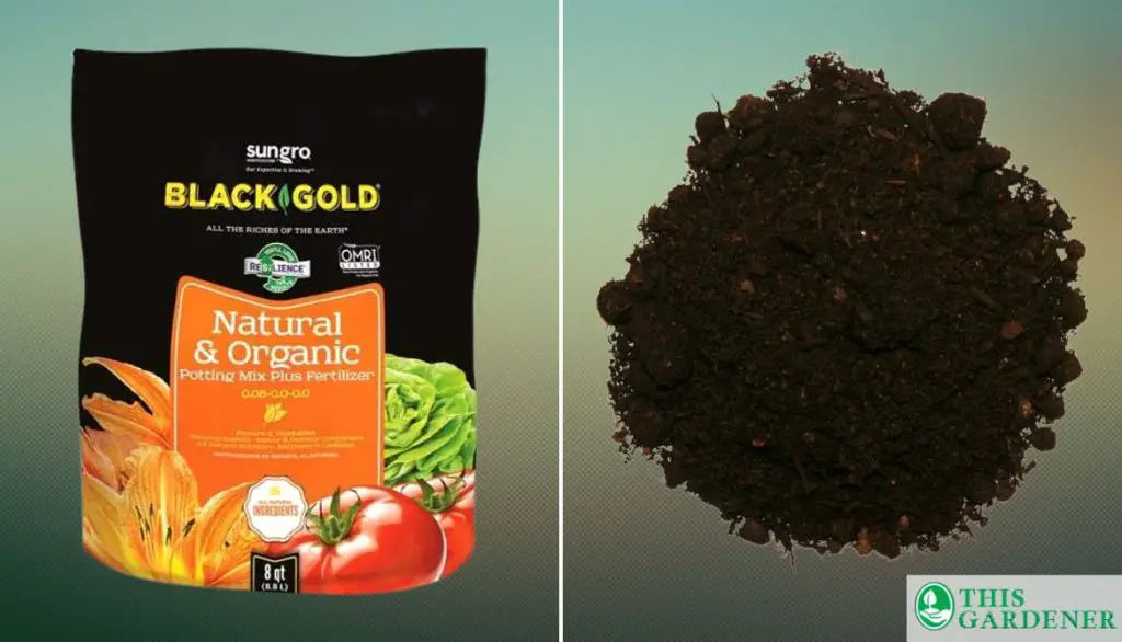 Best Soil for Tomatoes in Grow Bags  Organic Potting Soil by Black Gold