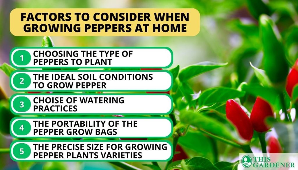 Five Factors to Consider When Growing Peppers at Home