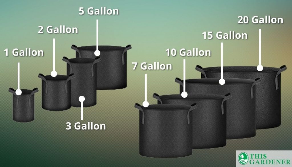 Grow Bags from 1 to 20 Gallon
