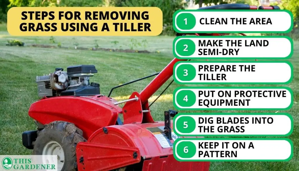 How to Remove Grass from the Ground Using a Tiller