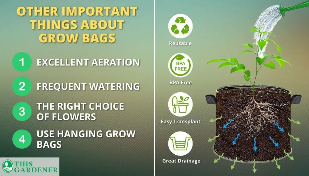 Other Important Things About Grow Bags